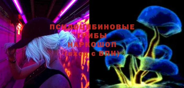 молекула духа Алзамай