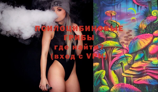 молекула духа Алзамай