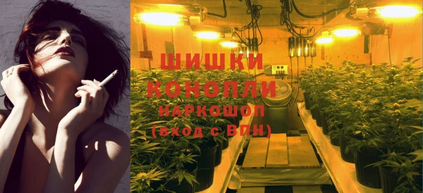 молекула духа Алзамай