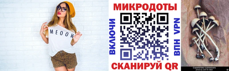 магазин    Анива  Галлюциногенные грибы Cubensis 